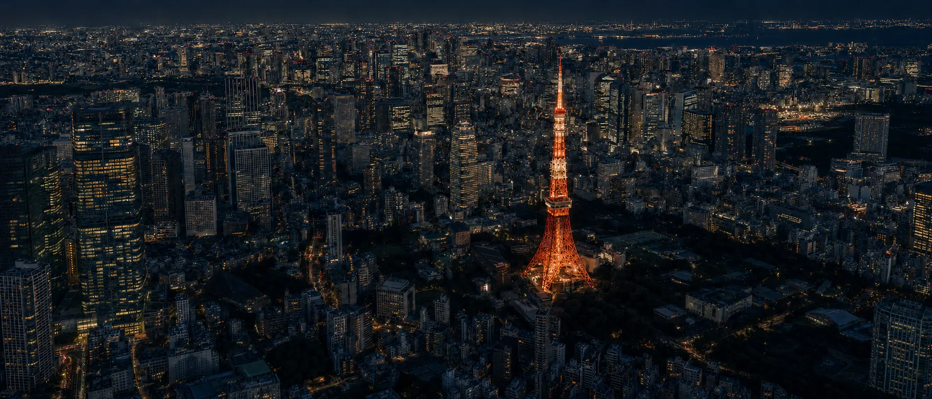 高層ビル群の夜景